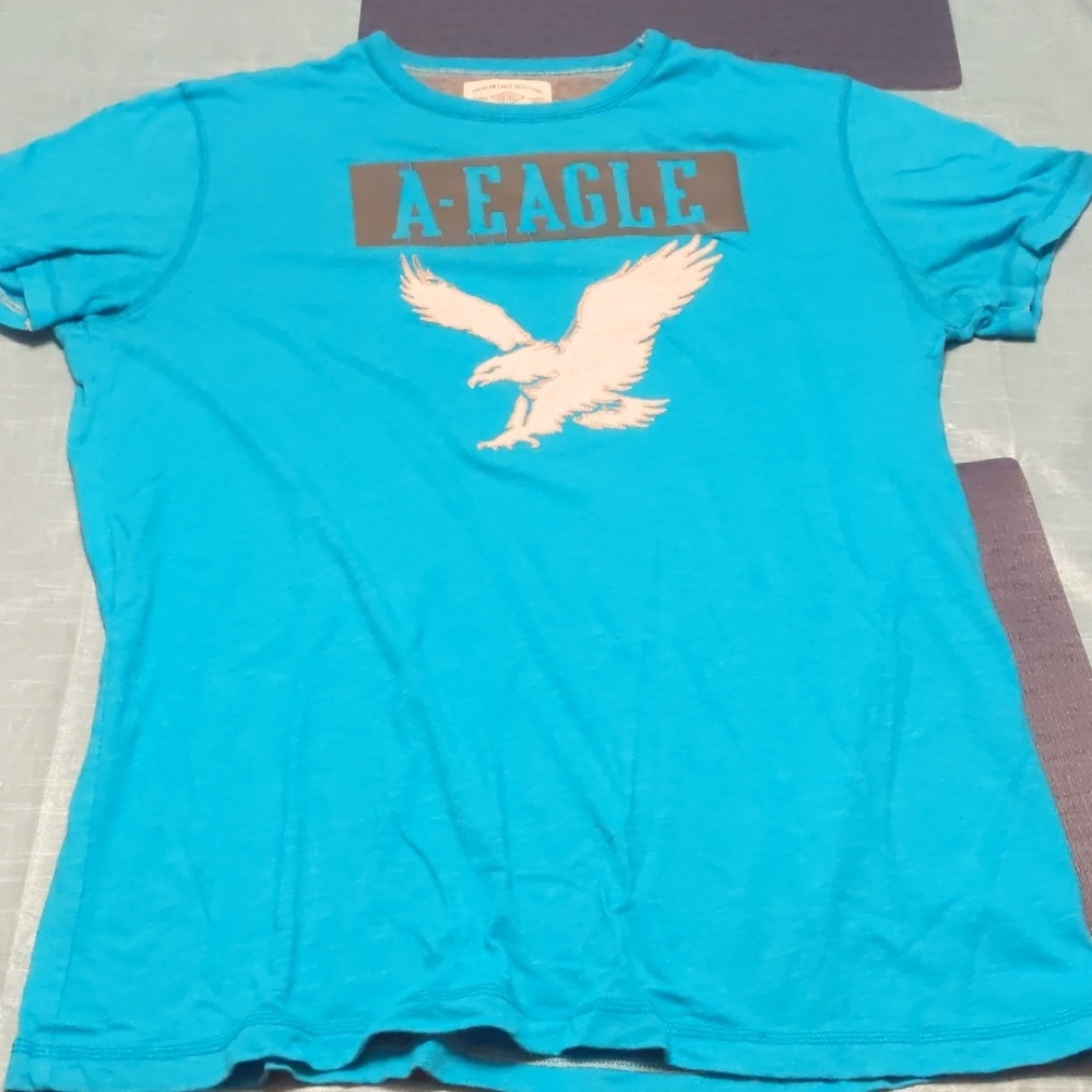 Vintage American Eagle Teal T-Shirt Size XL